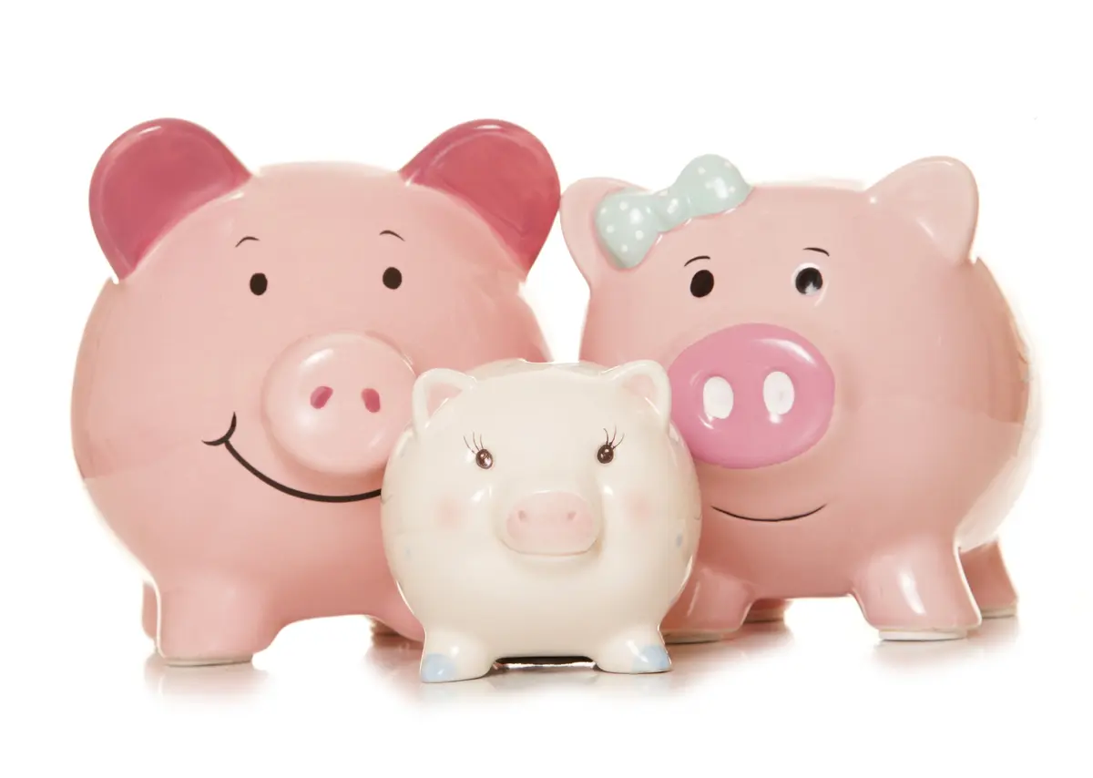 Advice for Handling an Inheritance