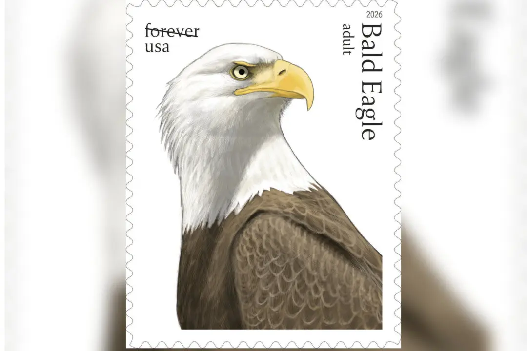 Postal Service Releases Special Edition Bald Eagle Stamps for America’s 250th