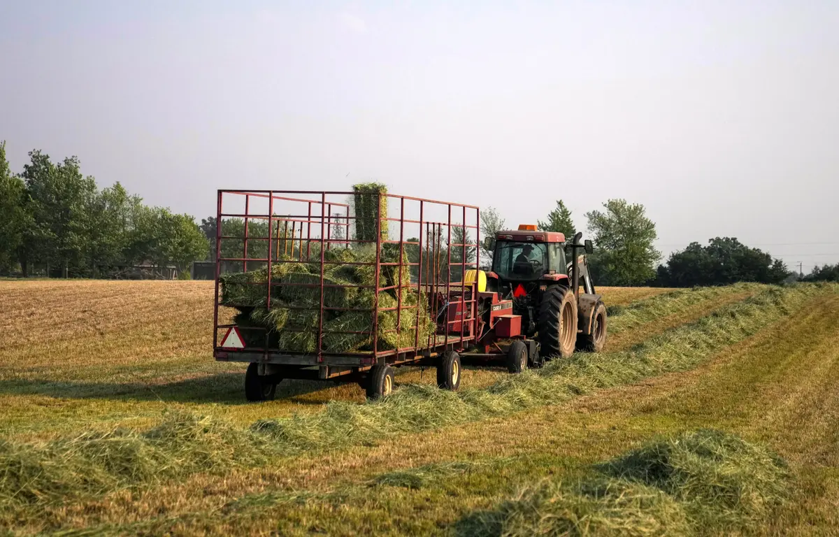 Is Sustainability Policy Sustainable for the Family Farm?