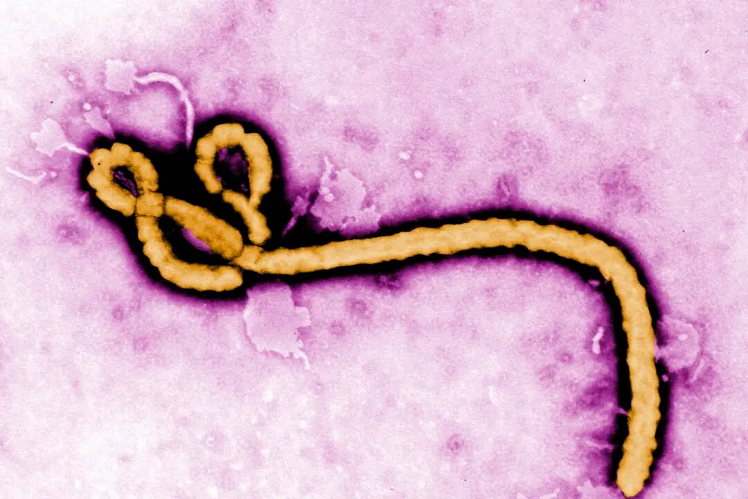 US Issues Travel Advisories Over Ebola Outbreak in Congo