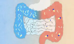 Modern Meds Changed the Gut Profile of Remote Villagers, Scientists Find