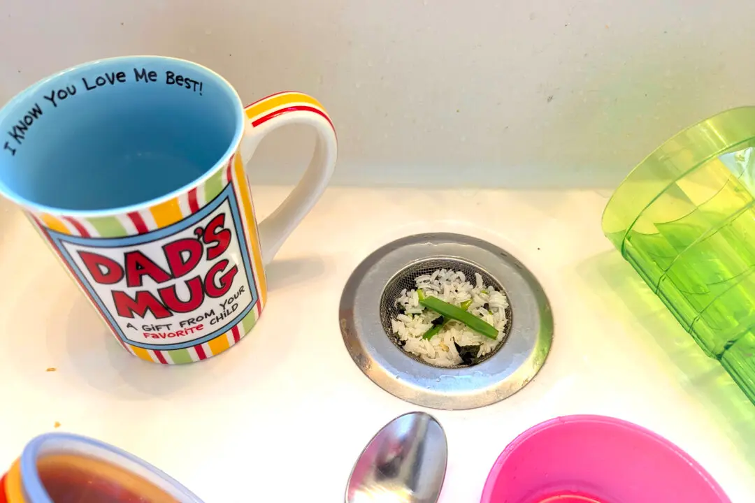 Ask the Builder: Prevent Clogged Drains and Nasty Flies