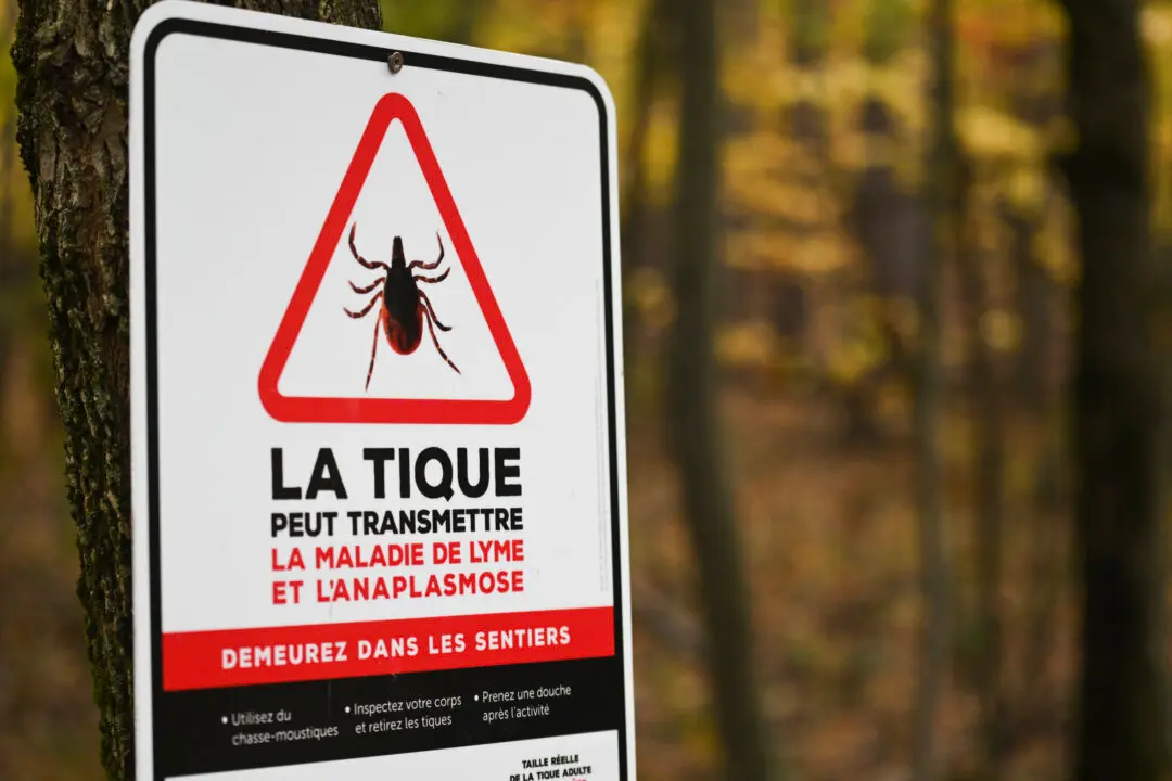 Cases of Lyme Disease in Montreal Highest in More Than 20 Years