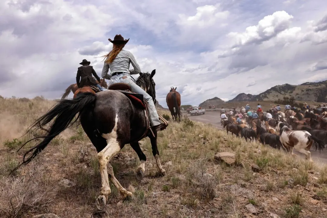 America in Photos: Horse Drive Fundraiser, Chemical Leak, and Military Academy Graduation