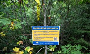 US Man Fined $2.3 Million for Starting Wildfire in BC Loses Appeal