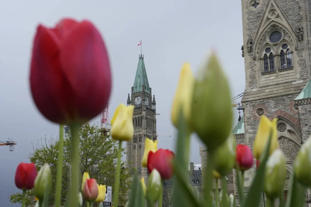 Inclusion Groups Sign Open Letter Calling on Ottawa to Halt MAID for Mental Illness