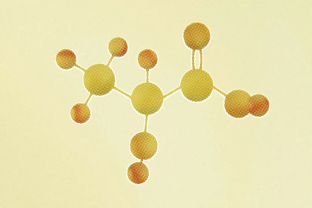 Lactate Is the New Ketone: How It Fuels the Brain