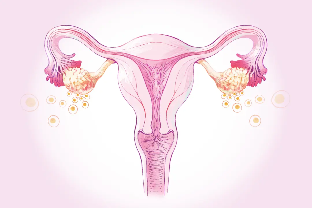 Menopause: A Natural Phase Every Woman Experiences After 45–Here Are the Common Relief Methods