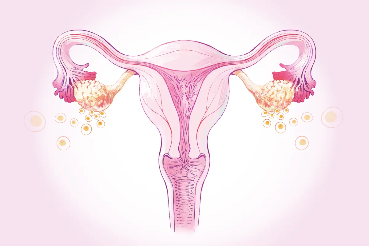Menopause: A Natural Phase Every Woman Experiences After 45–Here Are the Common Relief Methods