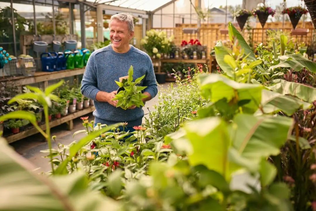 Tree-Buying Tips