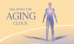 Delaying the Aging Clock