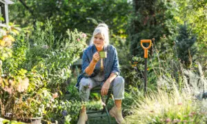 The June Garden Checklist: Tasks to Tackle Now for a Healthier Summer Garden