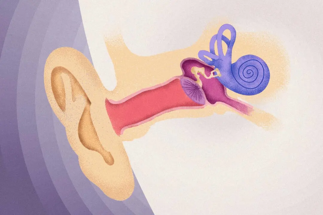 The Real Reason You’re Losing Your Senses–and What to Do About It
