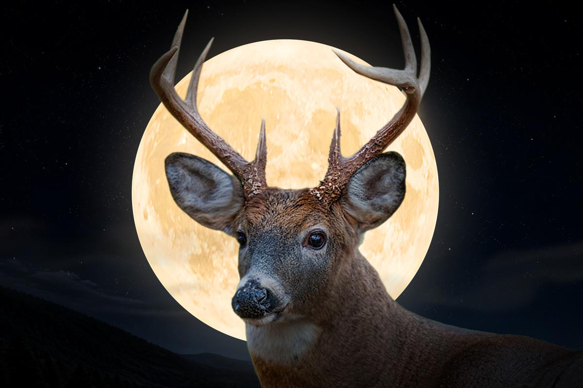 The Full ‘Buck Moon’ Will Join Dual Meteor Showers and Pluto to Grace the Night Sky in July