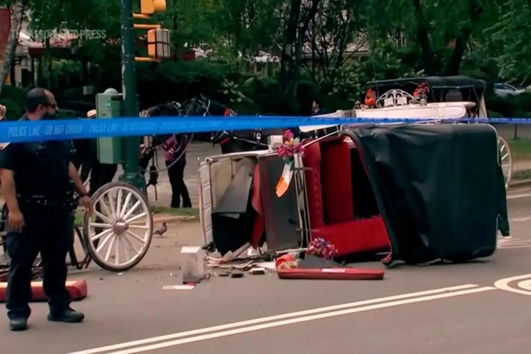 Horse-Drawn Carriage Rides in New York on Hold After Teen Tourist’s Death