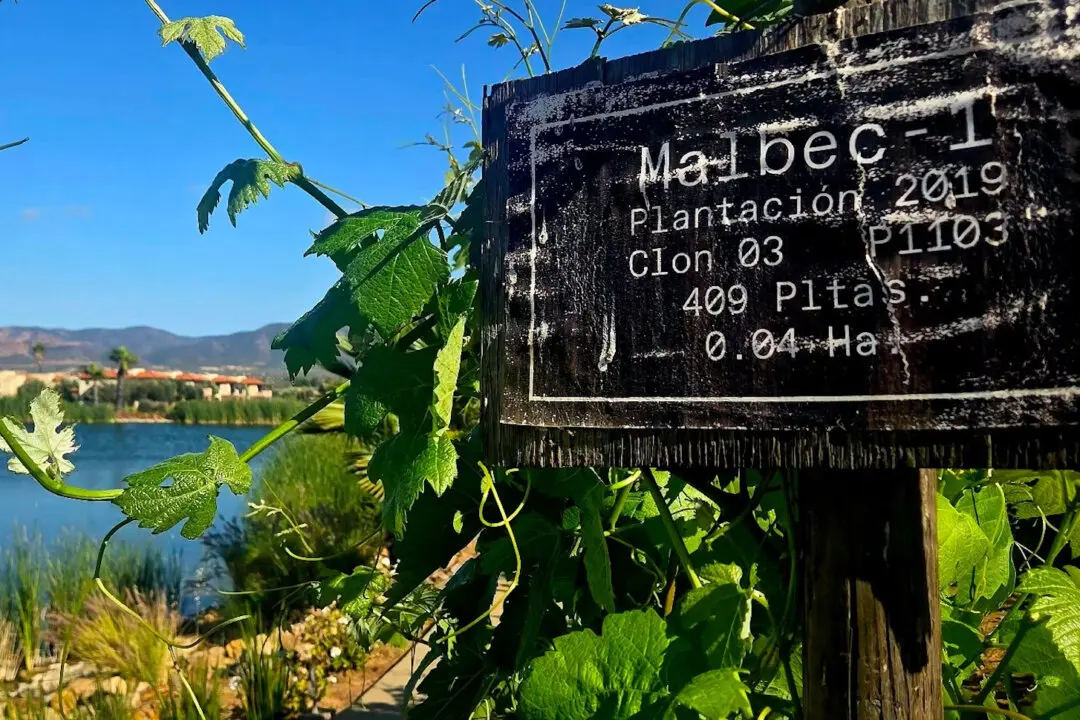 Relax at El Cielo Resort and Winery in Mexico’s Valle de Guadalupe