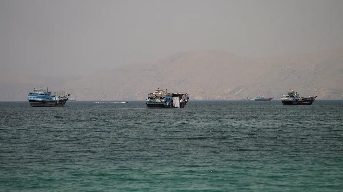 Iran Struck Cargo Ship in Strait of Hormuz, US Official Says