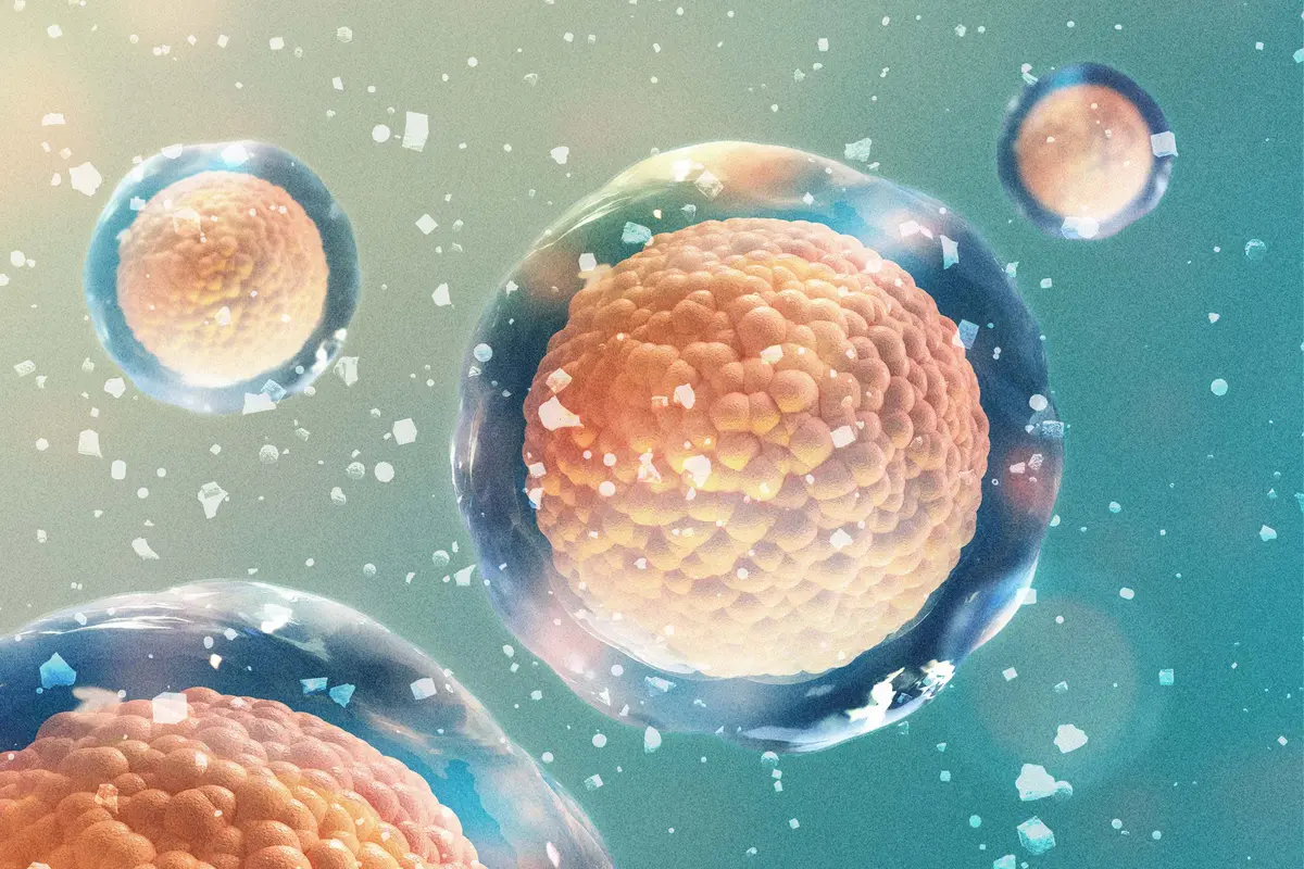 When Your Body Runs Low on Minerals, Everything Suffers