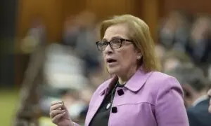 Minister Says ‘Something’ Happened to Trigger Order to Surrender Citizenship Docs