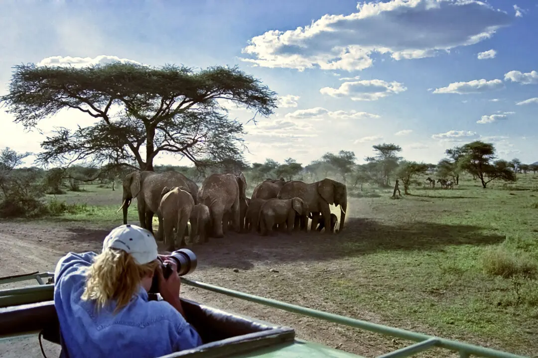 Solo Travel Soars: Record-Breaking Interest Levels Reported for 2026