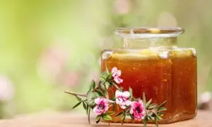 From Dry Eyes to Bleeding Gums: Manuka Honey’s Potential Health Benefits