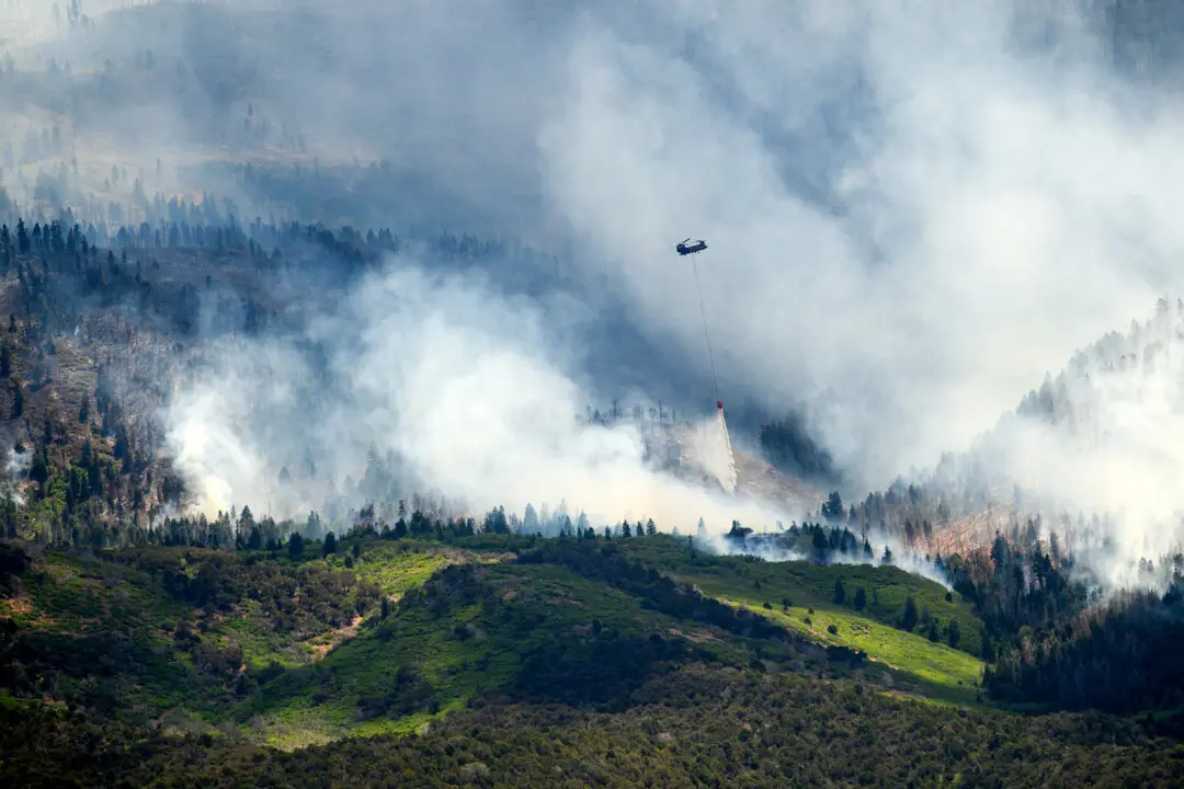 3 Firefighters Die in Colorado–Utah Fire
