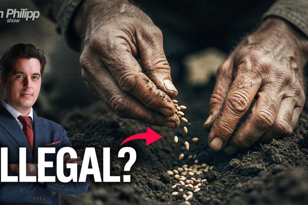 Why It’s Illegal for Farmers to Plant Their Own Seeds