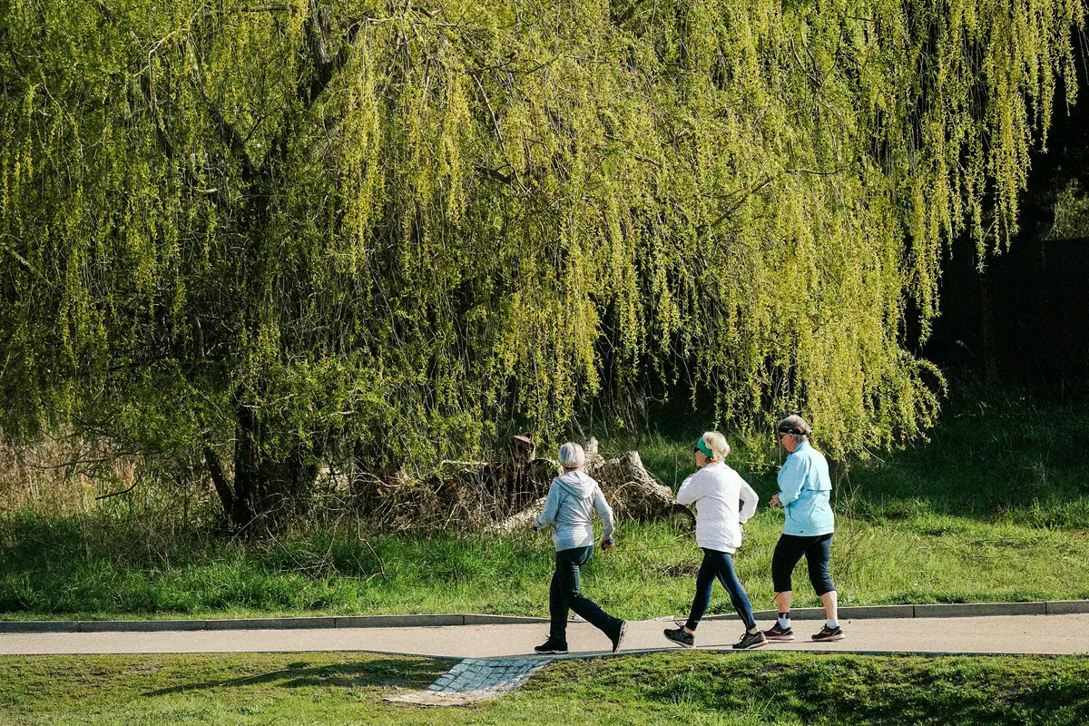 Before Memory Fades, Your Walk May Reveal 5 Hidden Brain Disorders