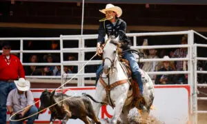 Calgary Receives 275 Stampede Noise Complaints Under New Event Sound Rules