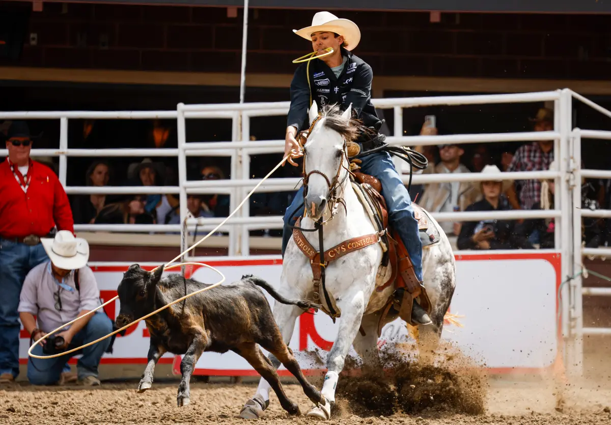 Calgary Receives 275 Stampede Noise Complaints Under New Event Sound Rules