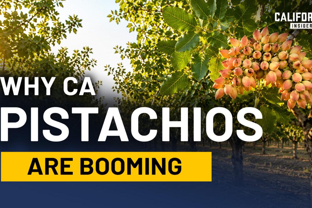 A Farming Takeover Happened in California; Most Residents Never Noticed | Tom Coleman & Stephen Vasquez