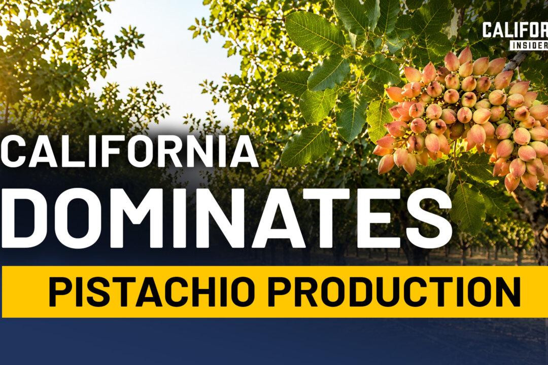 A Farming Takeover Happened in California. Most Residents Never Noticed | Tom Coleman