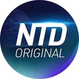 NTD Original