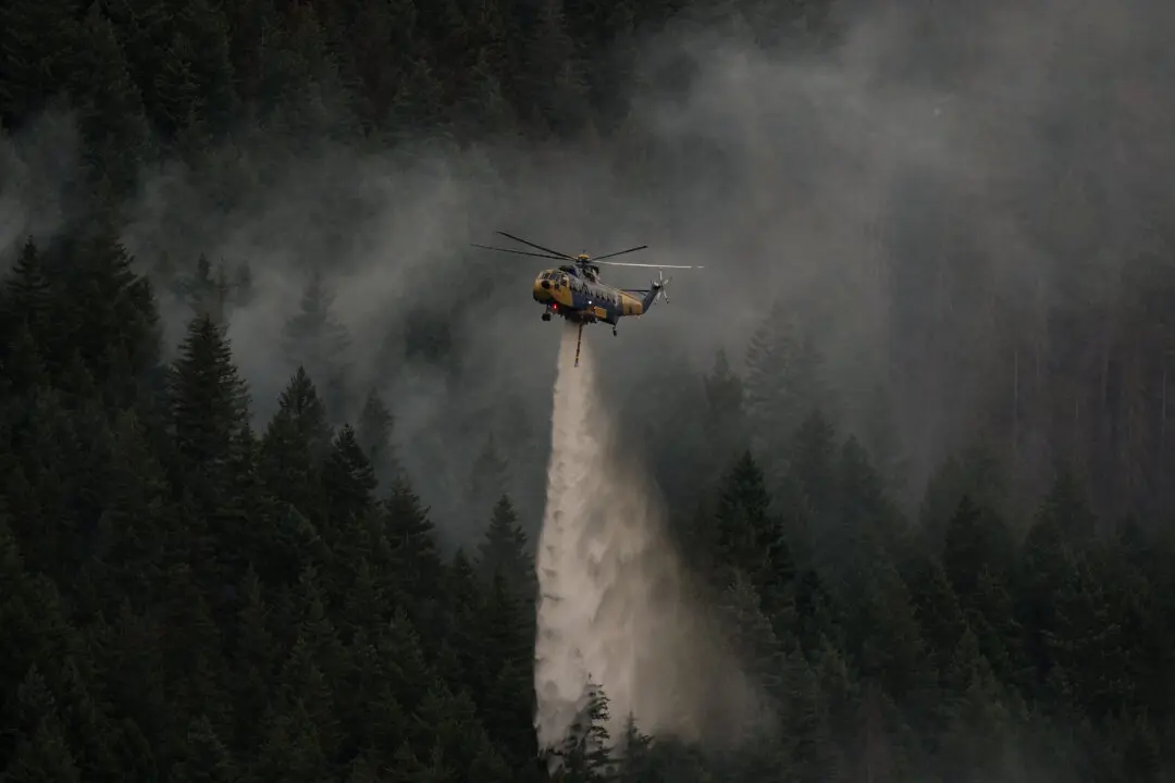 Visitor Fought BC Wildfire With Frying Pan. but It Became an Inferno