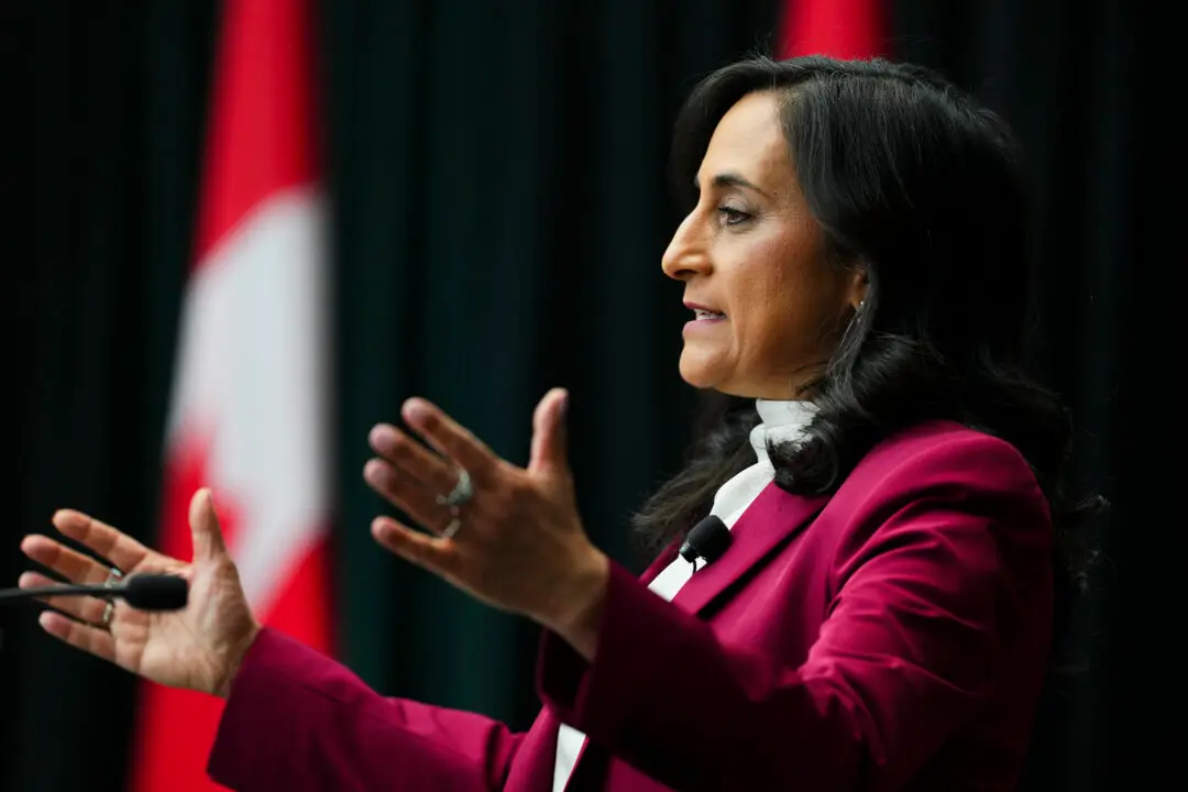 Anand Offers Brazil $125M in Energy Financing, Seals Wildfire Pact Amid Trade Talks