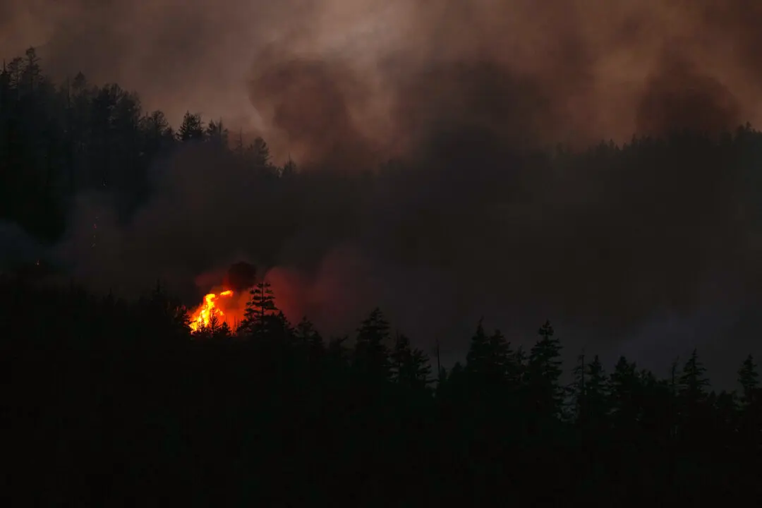 BC wildfire tally surges past 100 as lightning transforms fire season in a flash