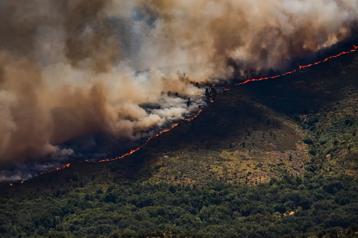 Spain Declares Wildfire Emergency as 10,000 Evacuated