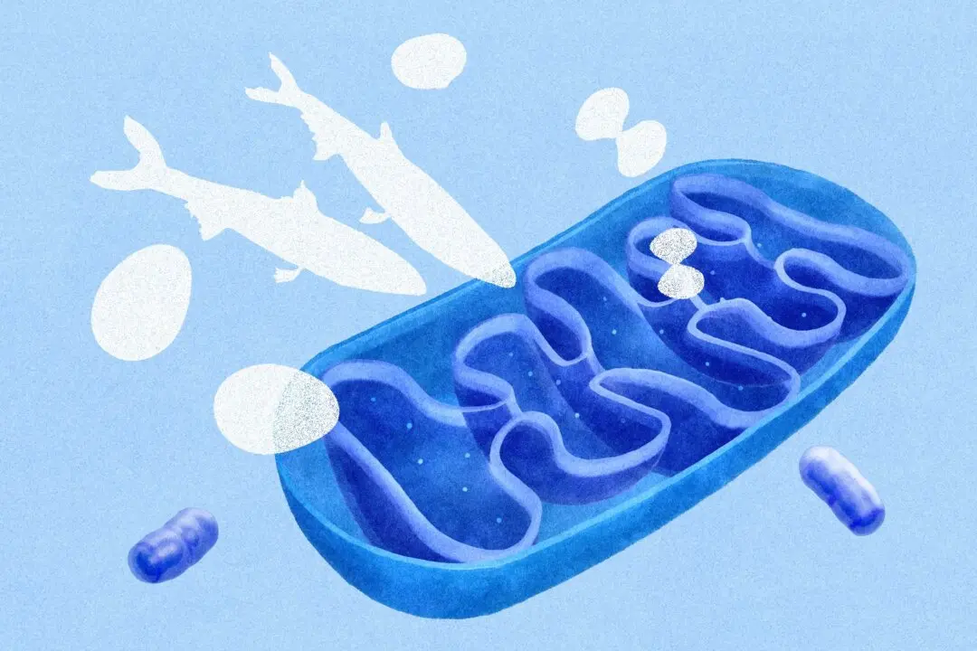 How Low B12 Can Mimic Signs of Aging