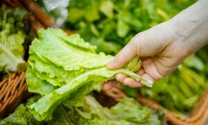 How to Pick and Wash Lettuce Amid Parasite and Bacterial Outbreaks