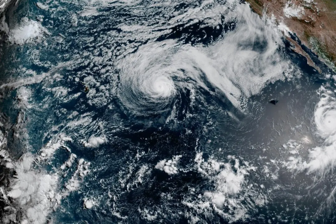 Genevieve Becomes a Major Pacific Hurricane Off Mexico, but No Direct Threat to Land Is Forecast