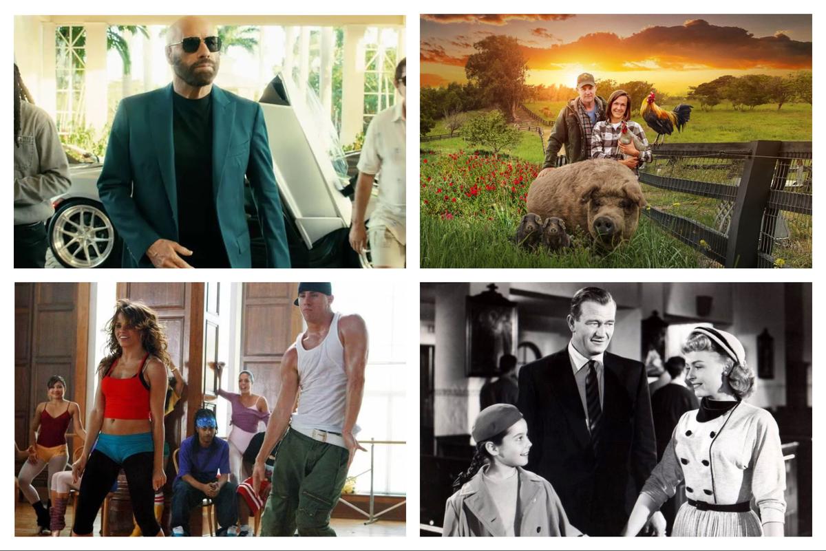 Epoch Watchlist: Recommended Viewing for July 31–Aug. 6