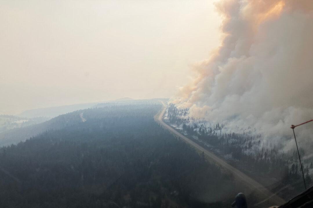 ‘It’s a Responsibility’: Animals Moved out as BC Fire Risk Looms
