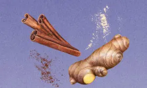 2 Simple Spices May Enhance Beneficial Gut Bacteria