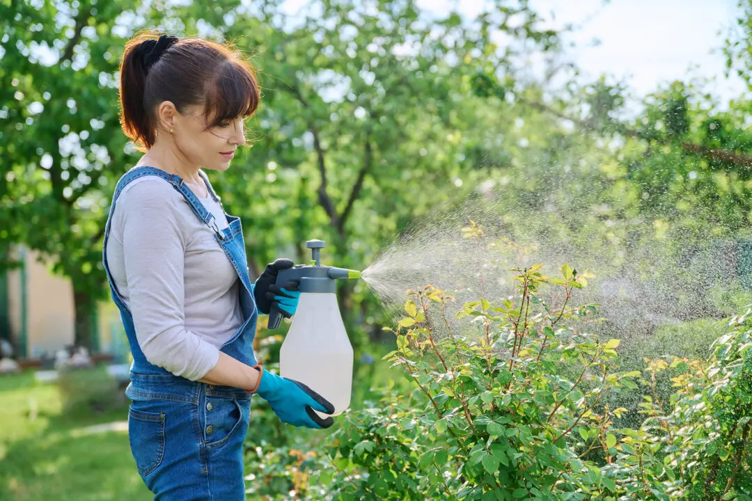 How to Keep Summer Pests From Taking Over Your Garden
