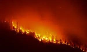 8,000 People Ordered to Evacuate in BC as Wildfires Continue to Ravage Province
