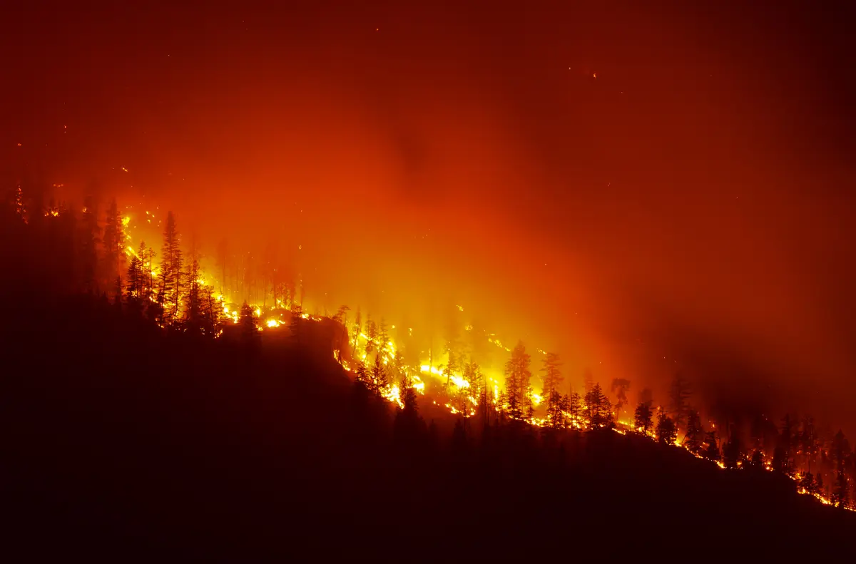 8,000 People Ordered to Evacuate in BC as Wildfires Continue to Ravage Province
