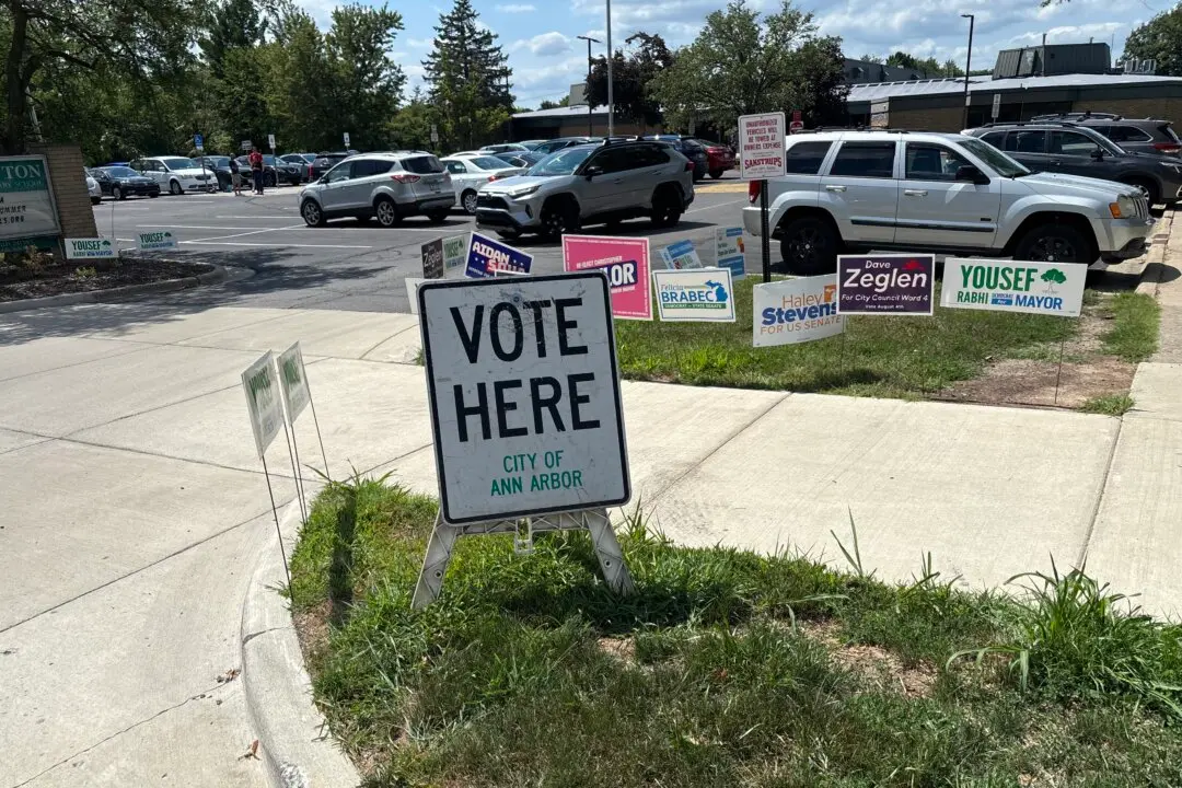Progressive Democrat Wins House Primary in Michigan Swing District