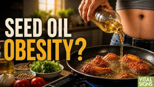 Are Seed Oils Secretly Making You Fat? How Cutting Calories Hurt ‘Biggest Losers’ — Georgie Dinkov
