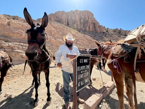 The Last of the Mule Mail Carriers