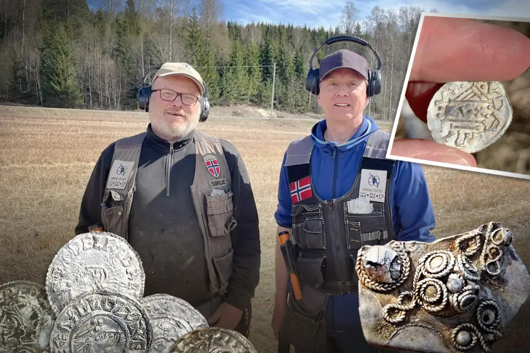 Metal Detectorists Uncover Norway’s Largest-Ever Viking Hoard: 5,000 Silver Coins and Jewelry